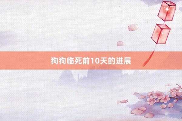 狗狗临死前10天的进展
