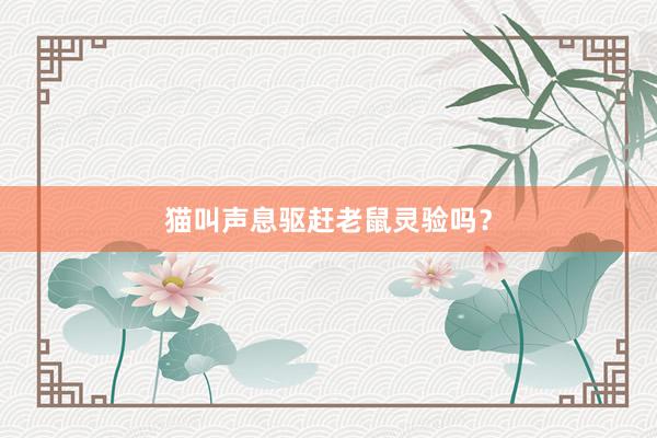 猫叫声息驱赶老鼠灵验吗？