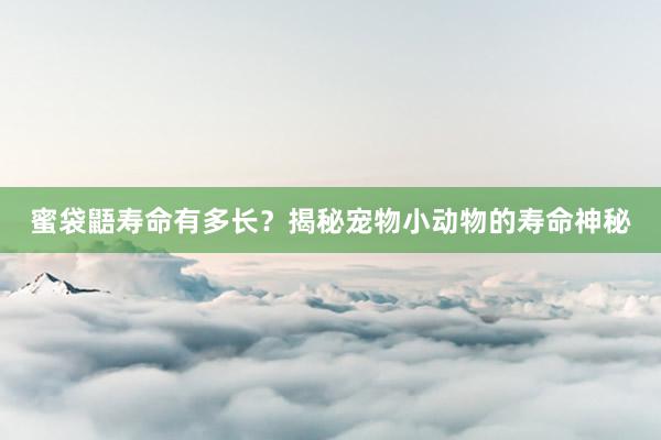 蜜袋鼯寿命有多长?揭秘宠物小动物的寿命神秘