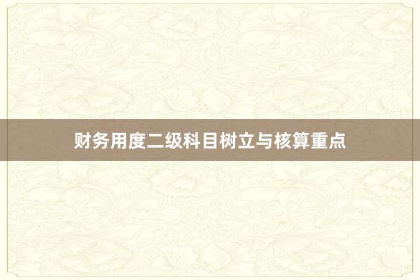 财务用度二级科目树立与核算重点