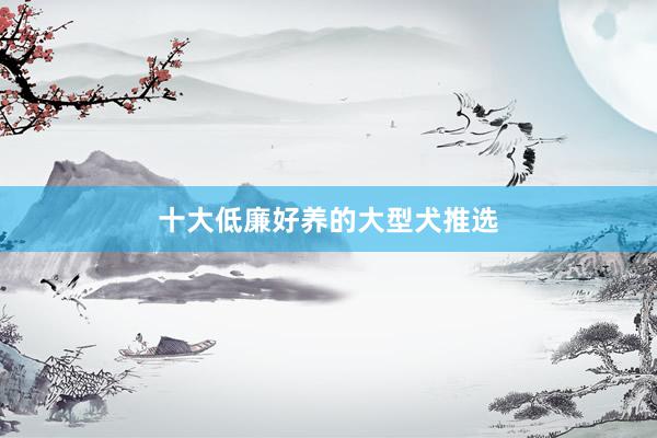 十大低廉好养的大型犬推选